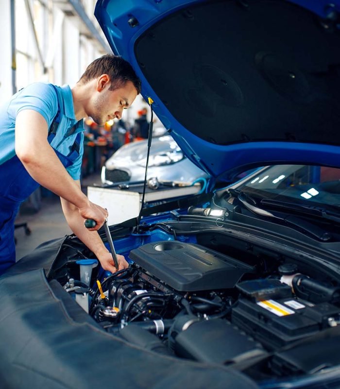 worker-in-uniform-checks-engine-car-service-small.jpg